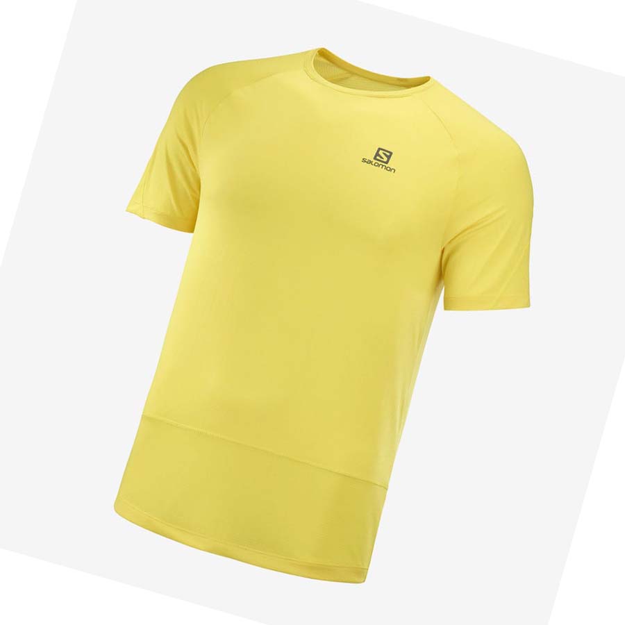 Camiseta Salomon CROSS RUN Hombre Amarillos | MX 3229RVD